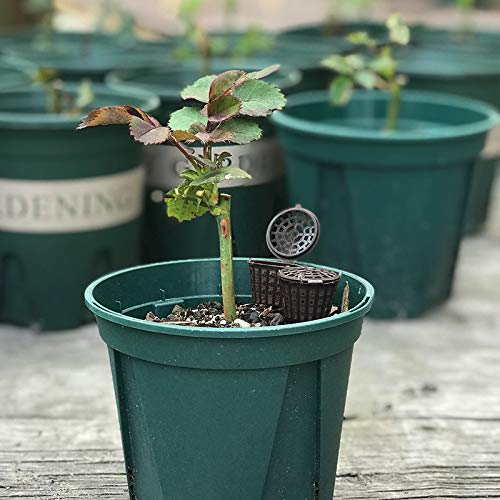 Tegg fertilizer basket for small plants, compact and easy to insert