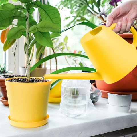 TEIUKAX easy-fill opening for quick refilling from any faucet or bucket