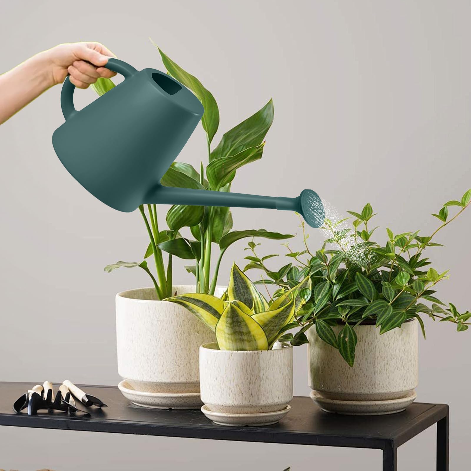 TEIUKAX versatile watering can for flowers, beds, and container plants
