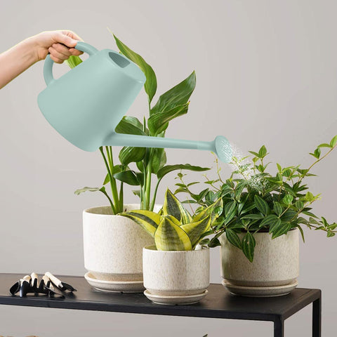 TEIUKAX 64oz capacity minimizes refills during watering.