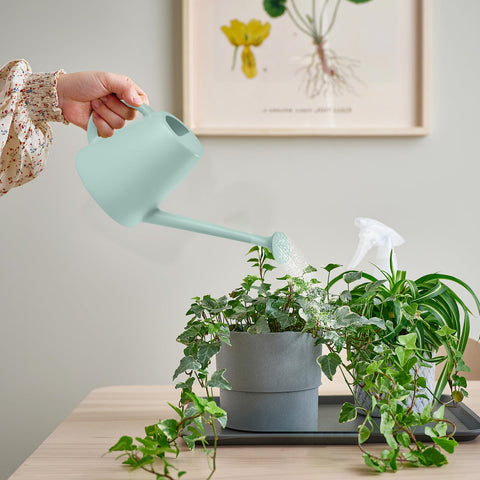 TEIUKAX light green watering can adds style to gardening tasks.