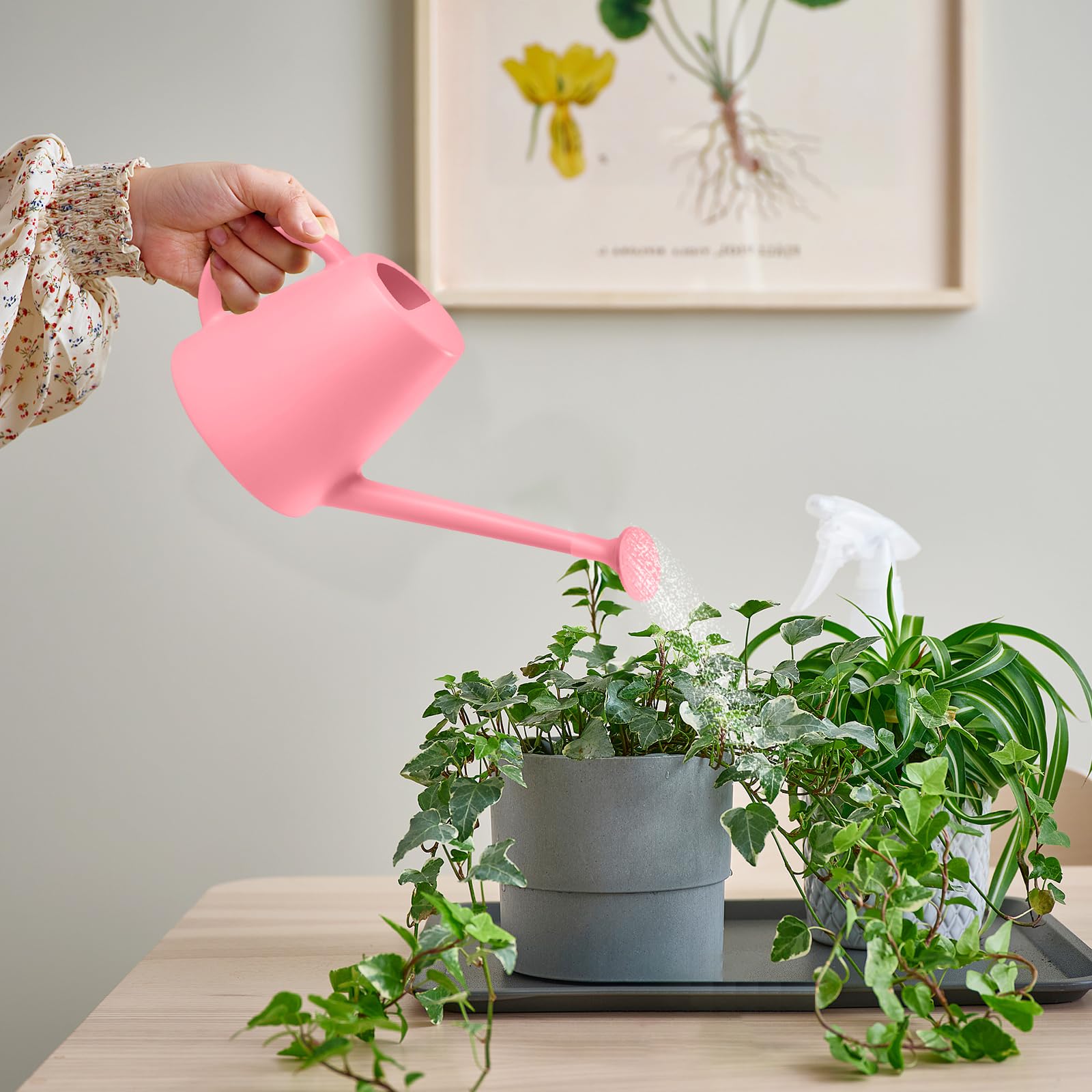 TEIUKAX targeted watering helps reach roots in dense plant arrangements.