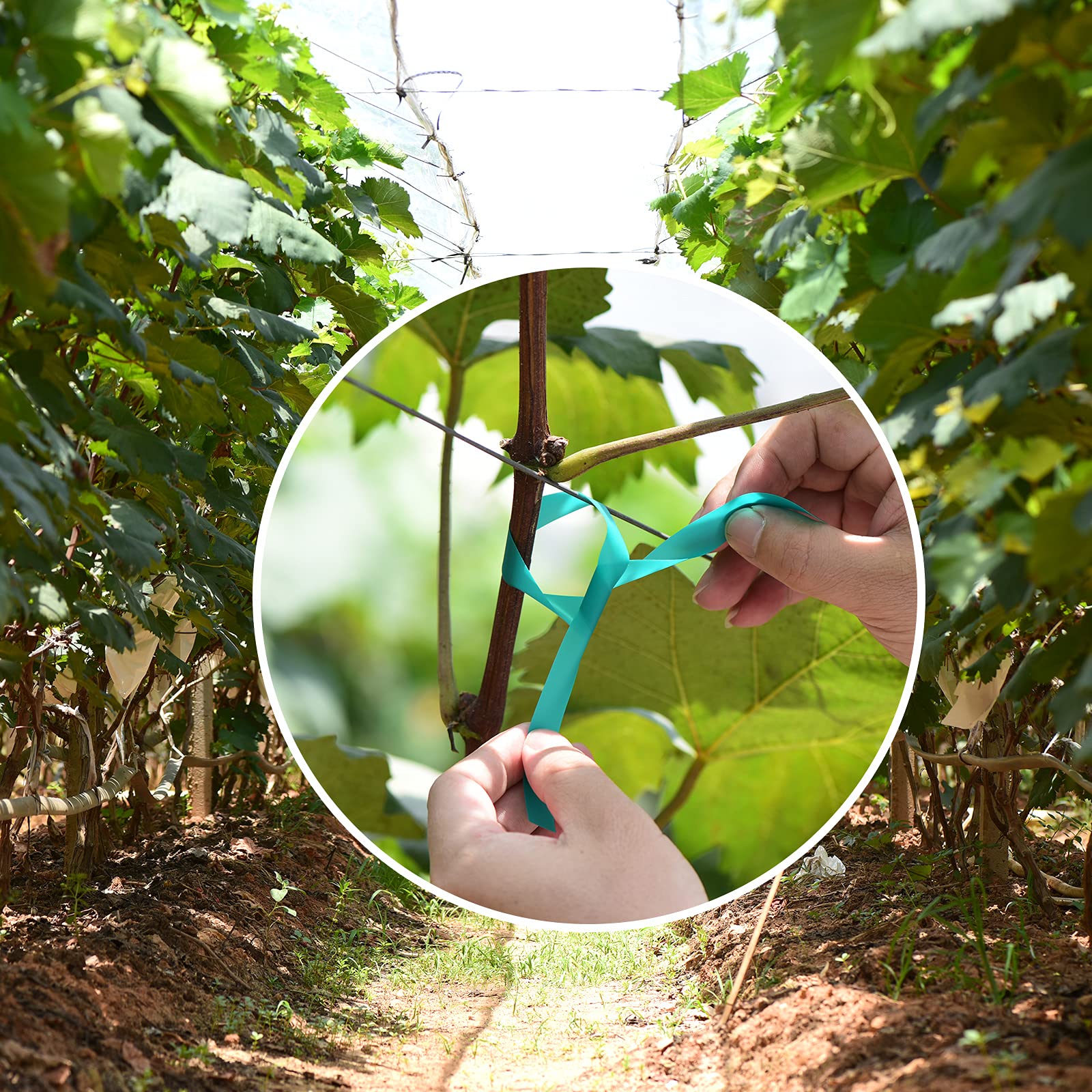 TELENT OUTDOORS 1-inch-wide ties provide stable, durable garden support.