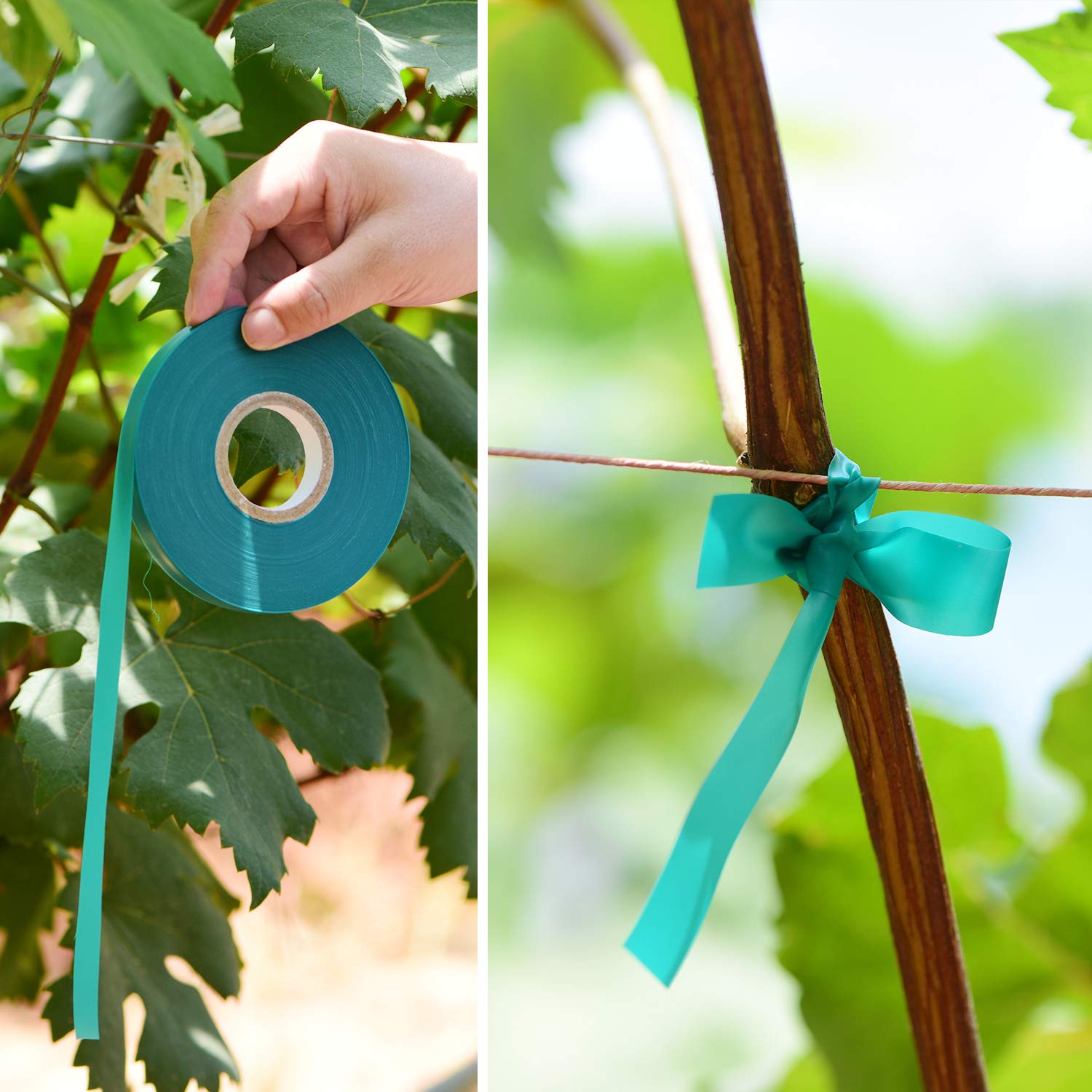 TELENT OUTDOORS branch-stability-tie secures branches neatly.