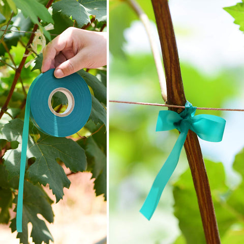 TELENT OUTDOORS branch-stability-tie secures branches neatly.