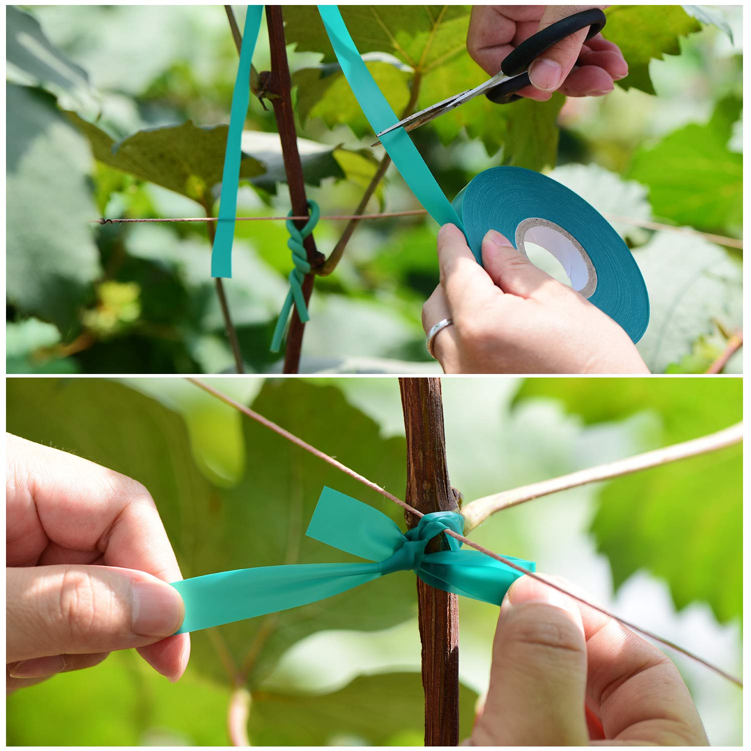 TELENT OUTDOORS climbing-plants-tape supports climbing plants and training.