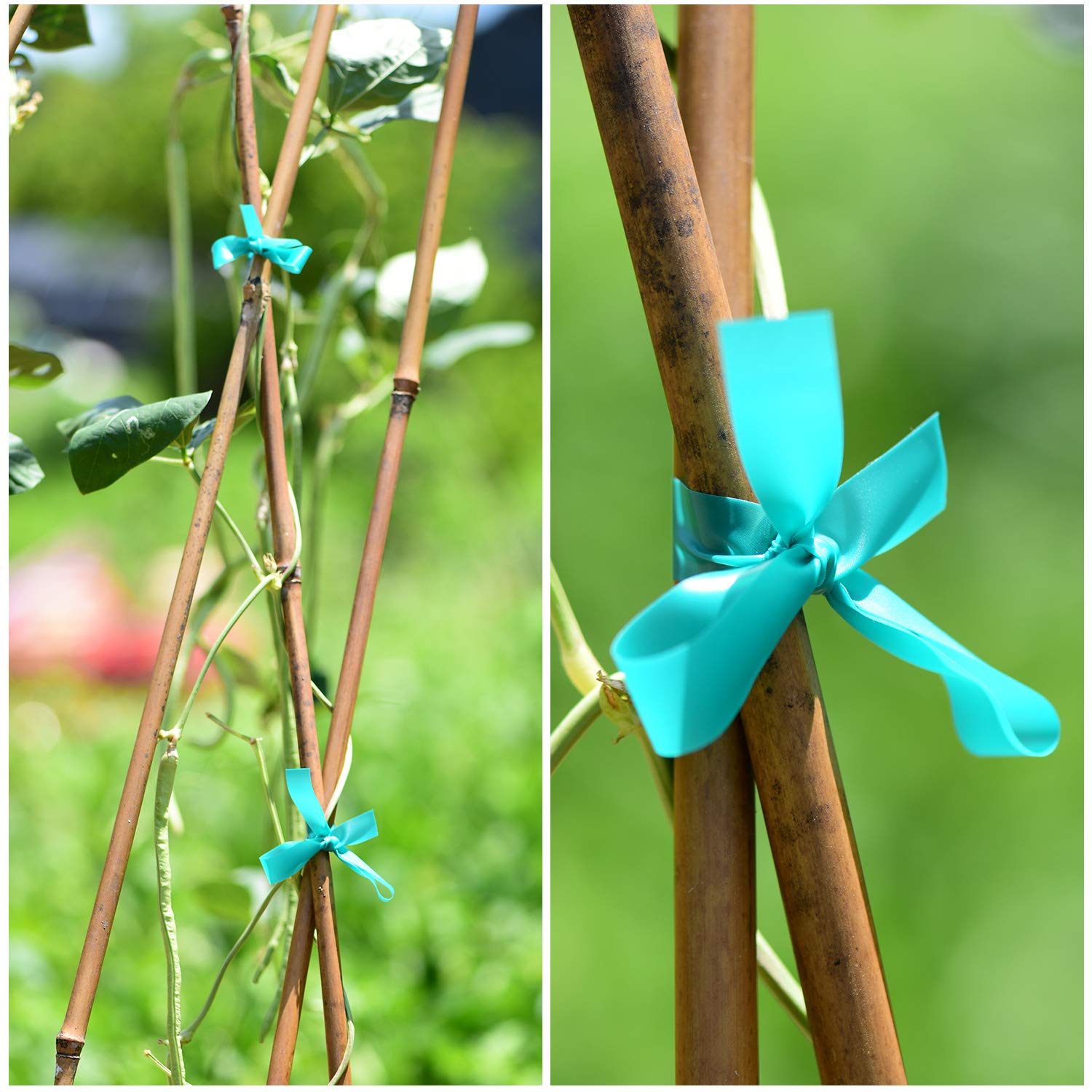 TELENT OUTDOORS garden tape pair supports multiple plants.