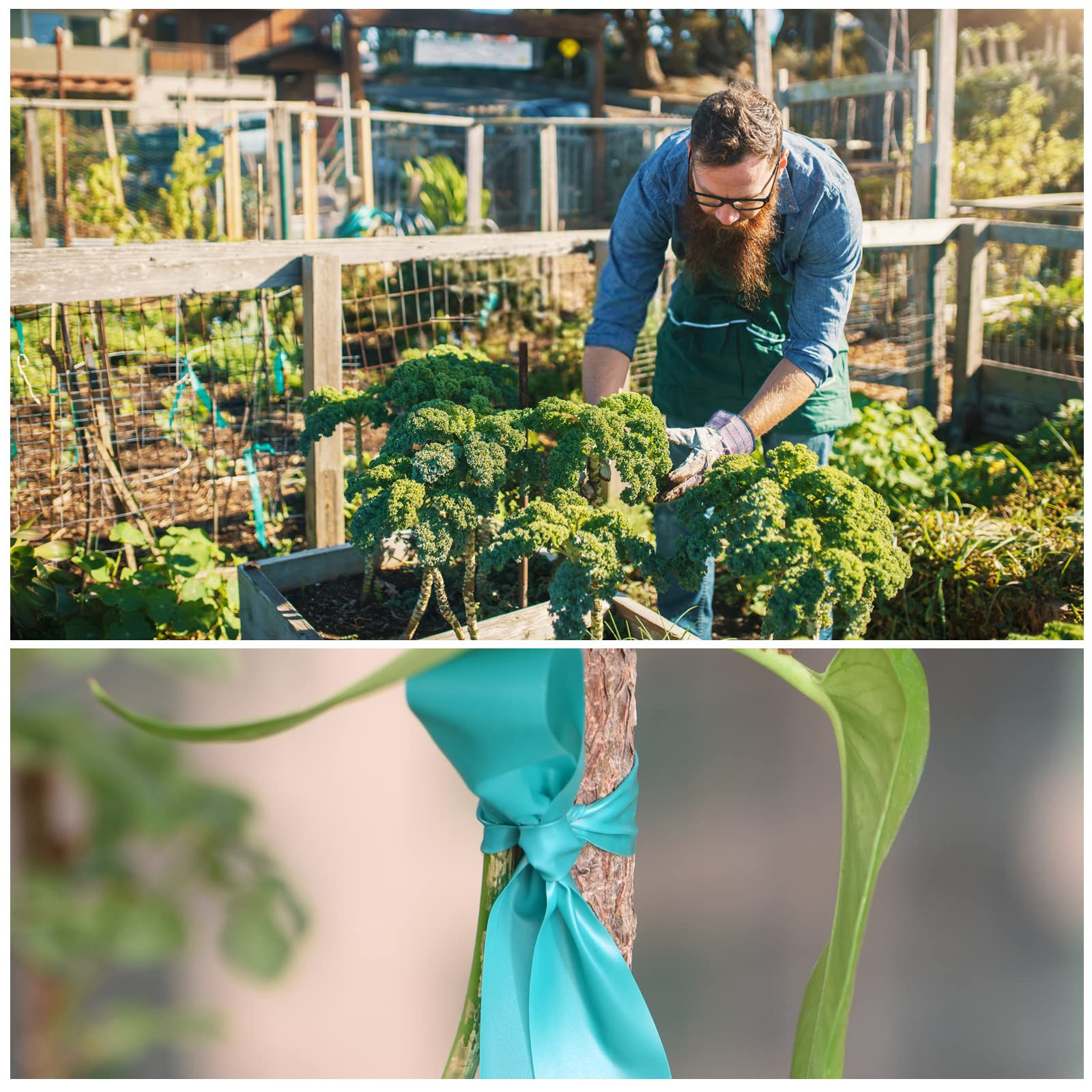 TELENT OUTDOORS sturdy green tape for staking branches and climbing plants.