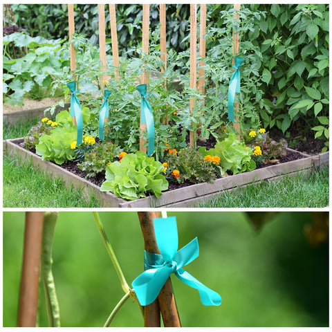 TELENT OUTDOORS green tape for indoor and outdoor plant stabilization.