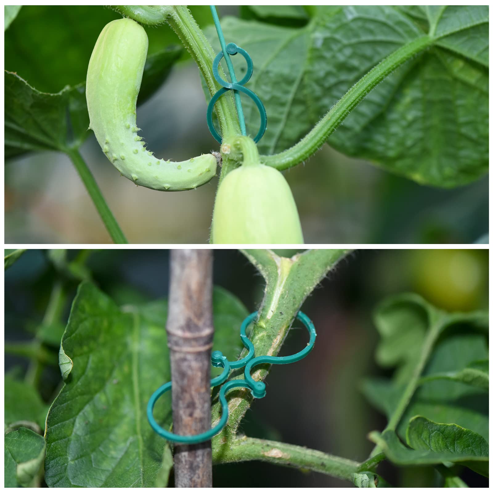 TELENT Outdoors 2mm diameter ties enable extended planting and organizing.