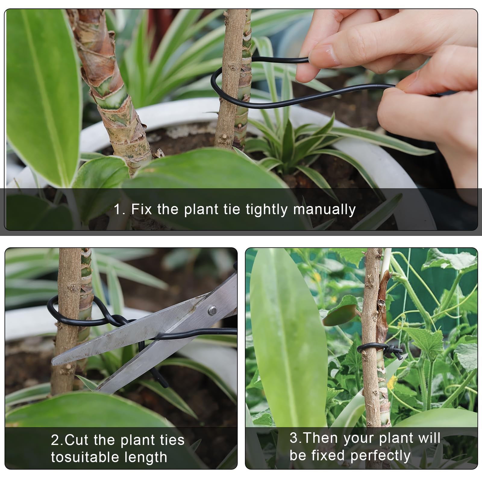 TELENT OUTDOORS plant ties for trellises secure plants neatly.
