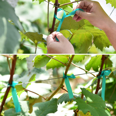 TELENT OUTDOORS stretchy garden tie ideal for securing stems.