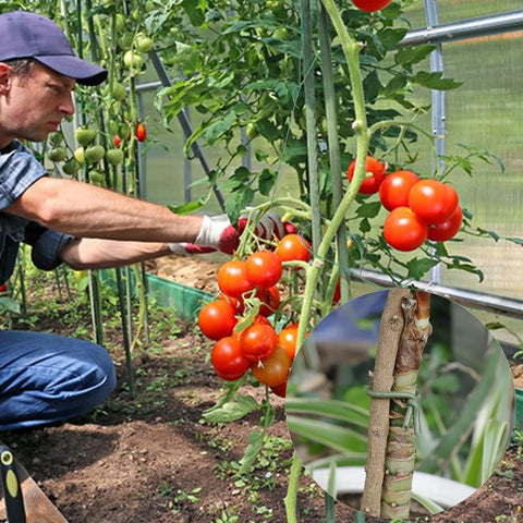 TELENT OUTDOORS twist ties with metal core offer strong, reusable garden support.