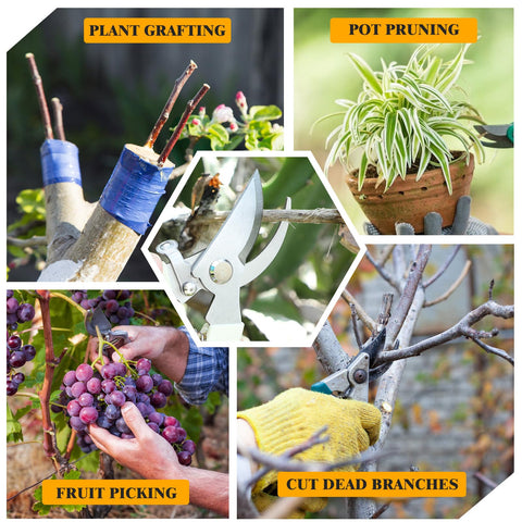 Telooco 20-piece set fits hobbyists and professionals for everyday pruning