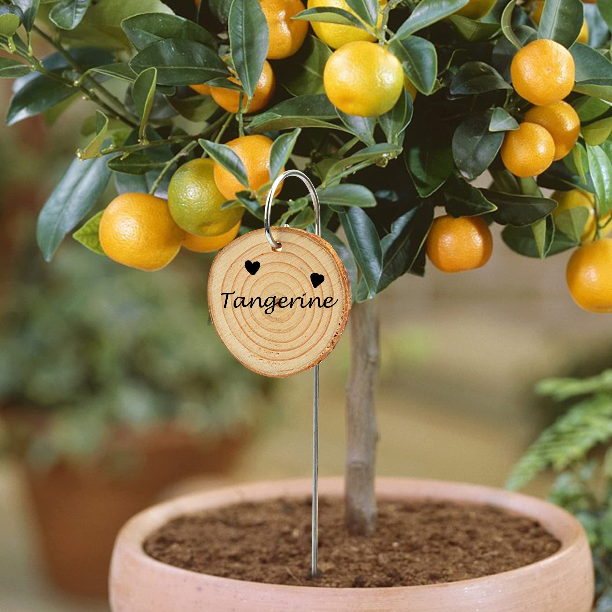 Temlum gift-ready gardening set for birthdays or holidays.