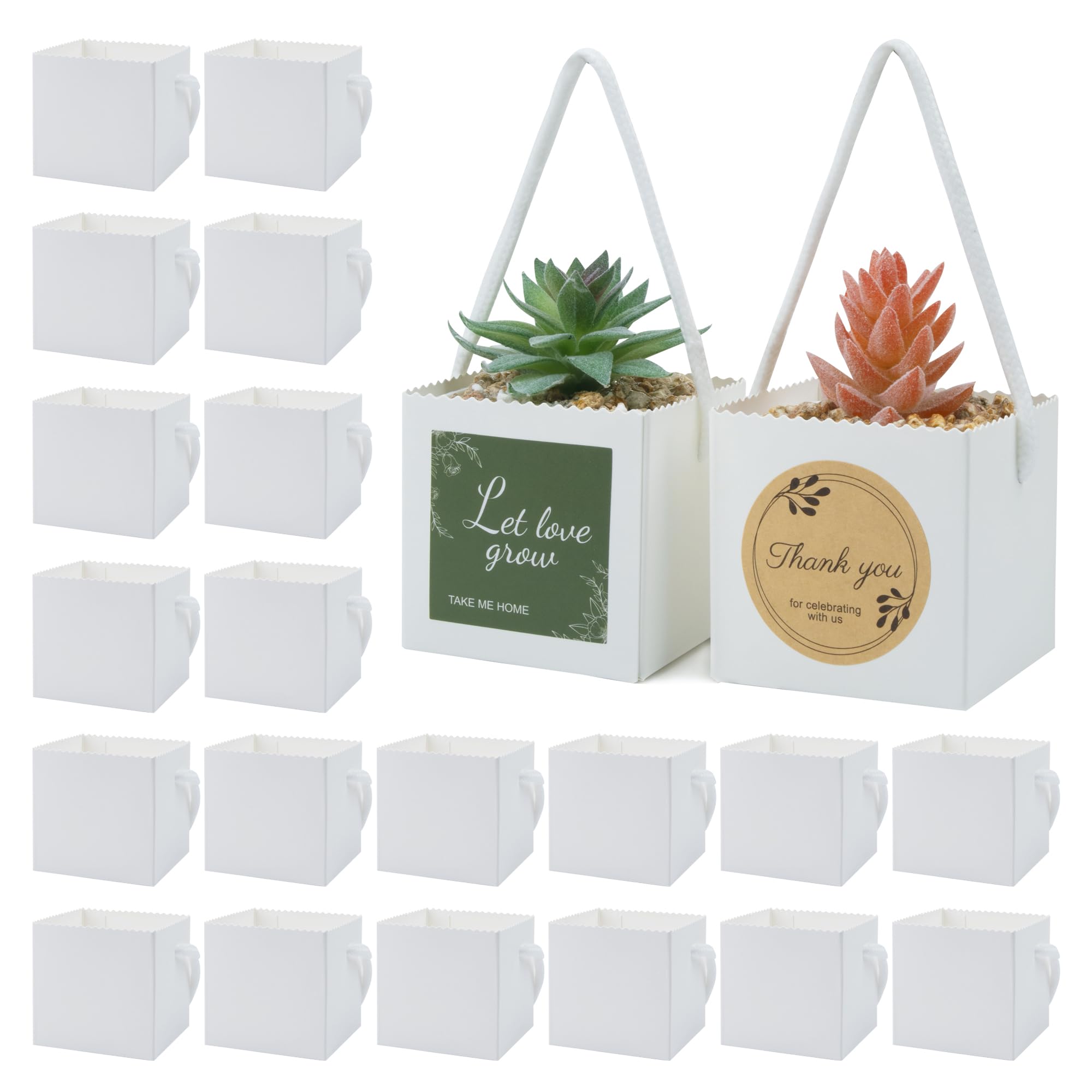 Temlum succulent wrap bag 2.5 inch size presents compact 2-2.5 inch pots.