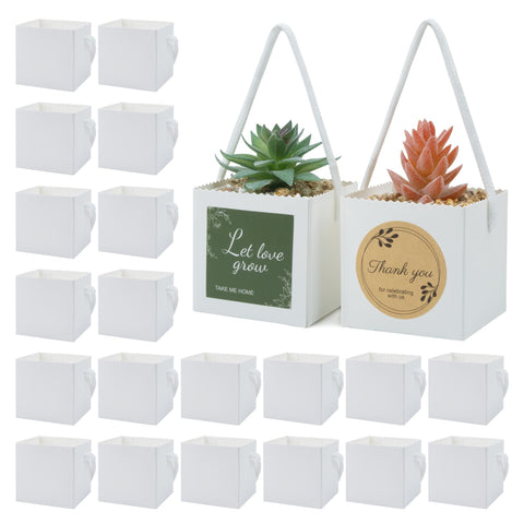 Temlum succulent wrap bag 2.5 inch size presents compact 2-2.5 inch pots.