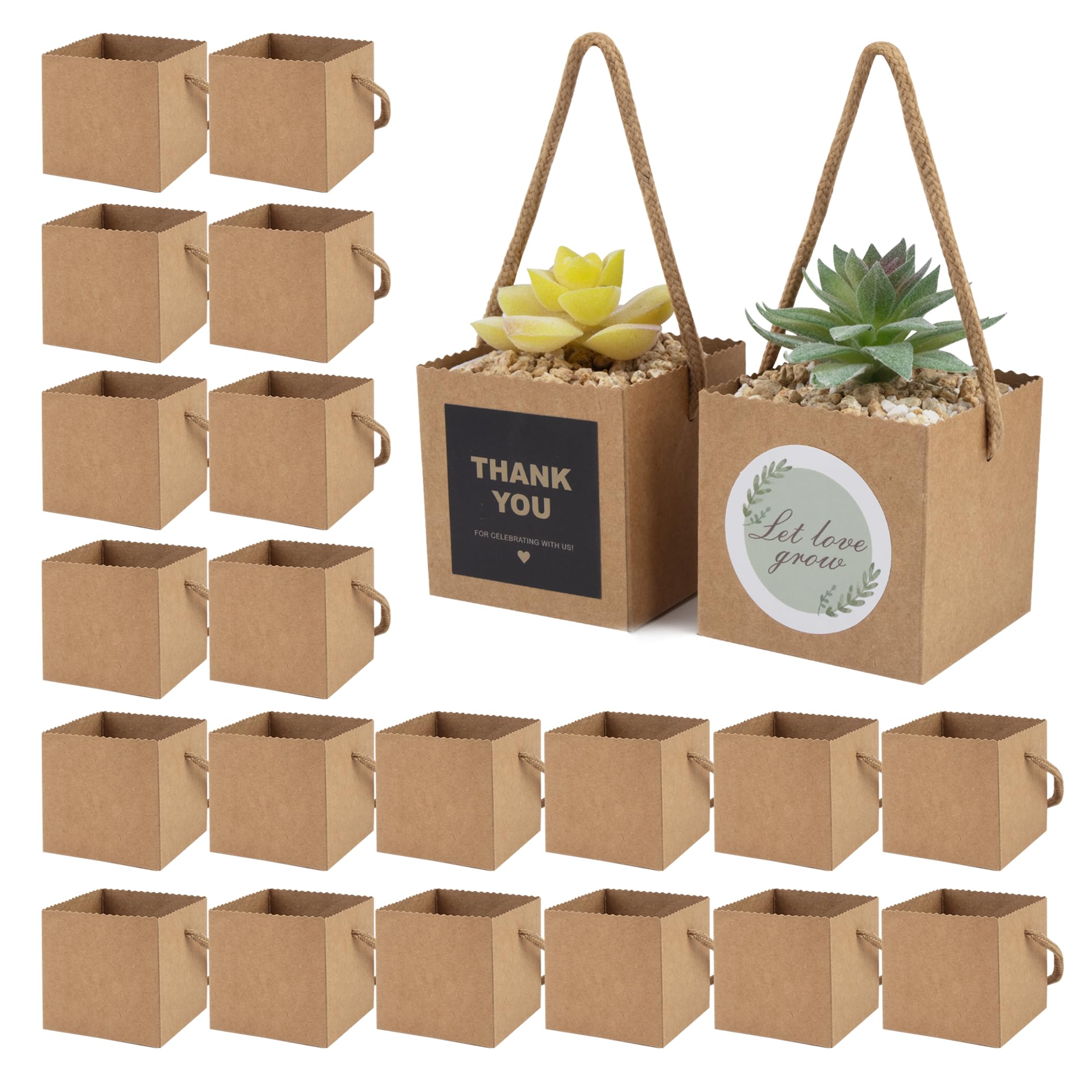 Temlum succulent wrap bag 2.5-inch with kraft paper for easy gift presentation.