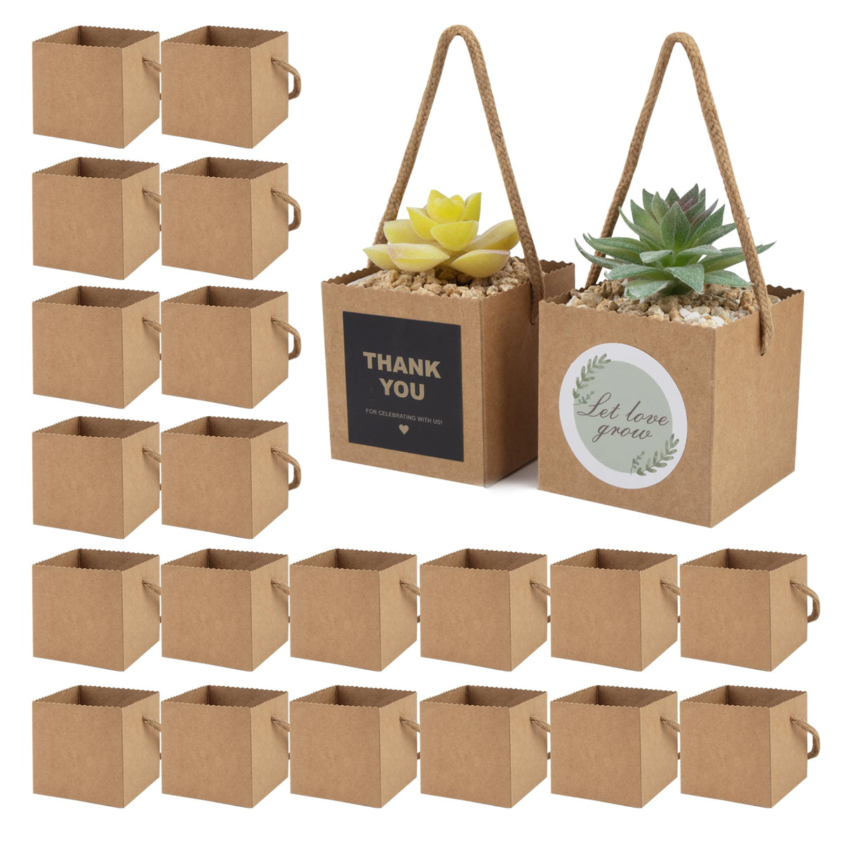 Temlum succulent wrap bag 2.5-inch with kraft paper for easy gift presentation.