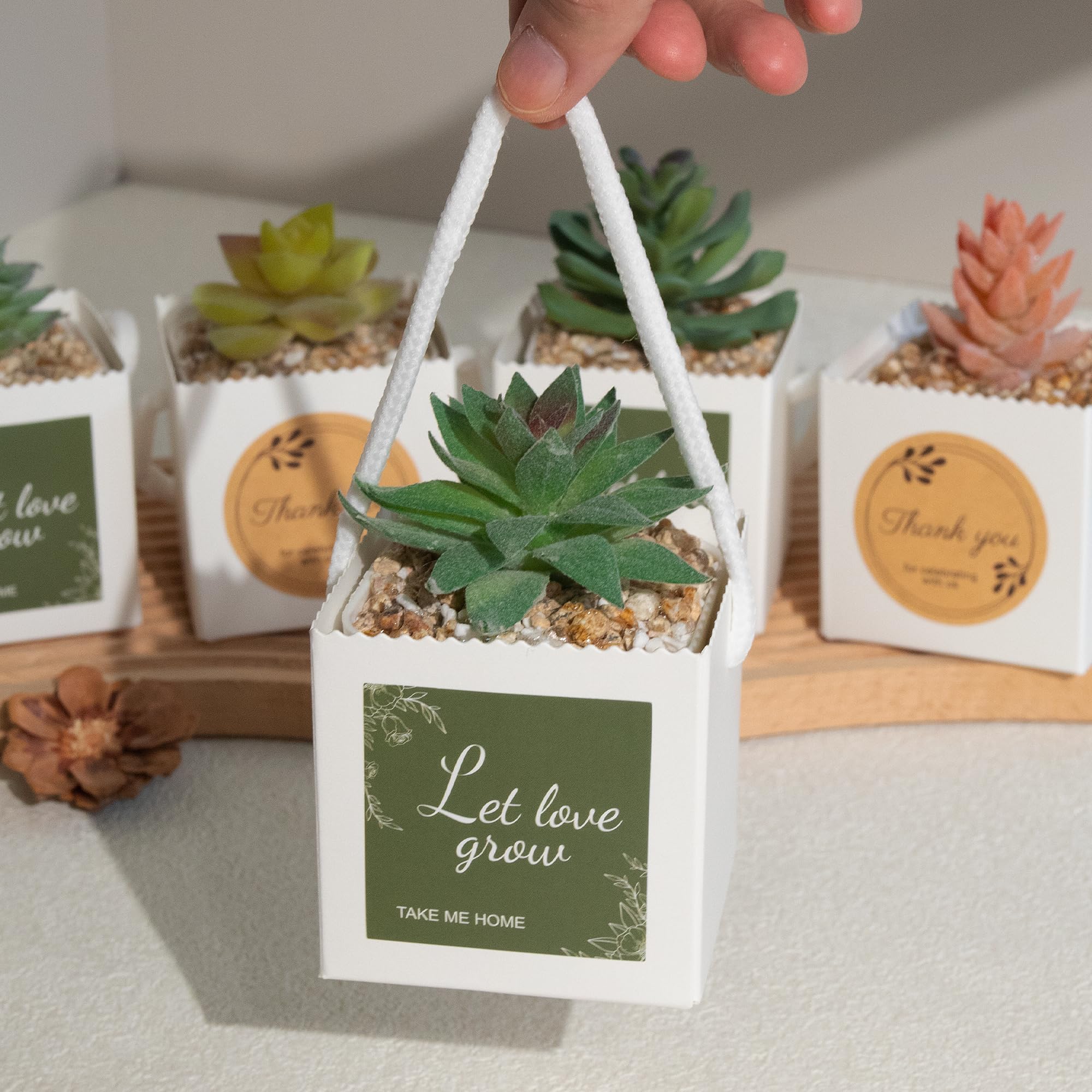 Temlum succulent wrap bag DIY customization invites personalized designs.