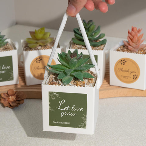Temlum succulent wrap bag DIY customization invites personalized designs.