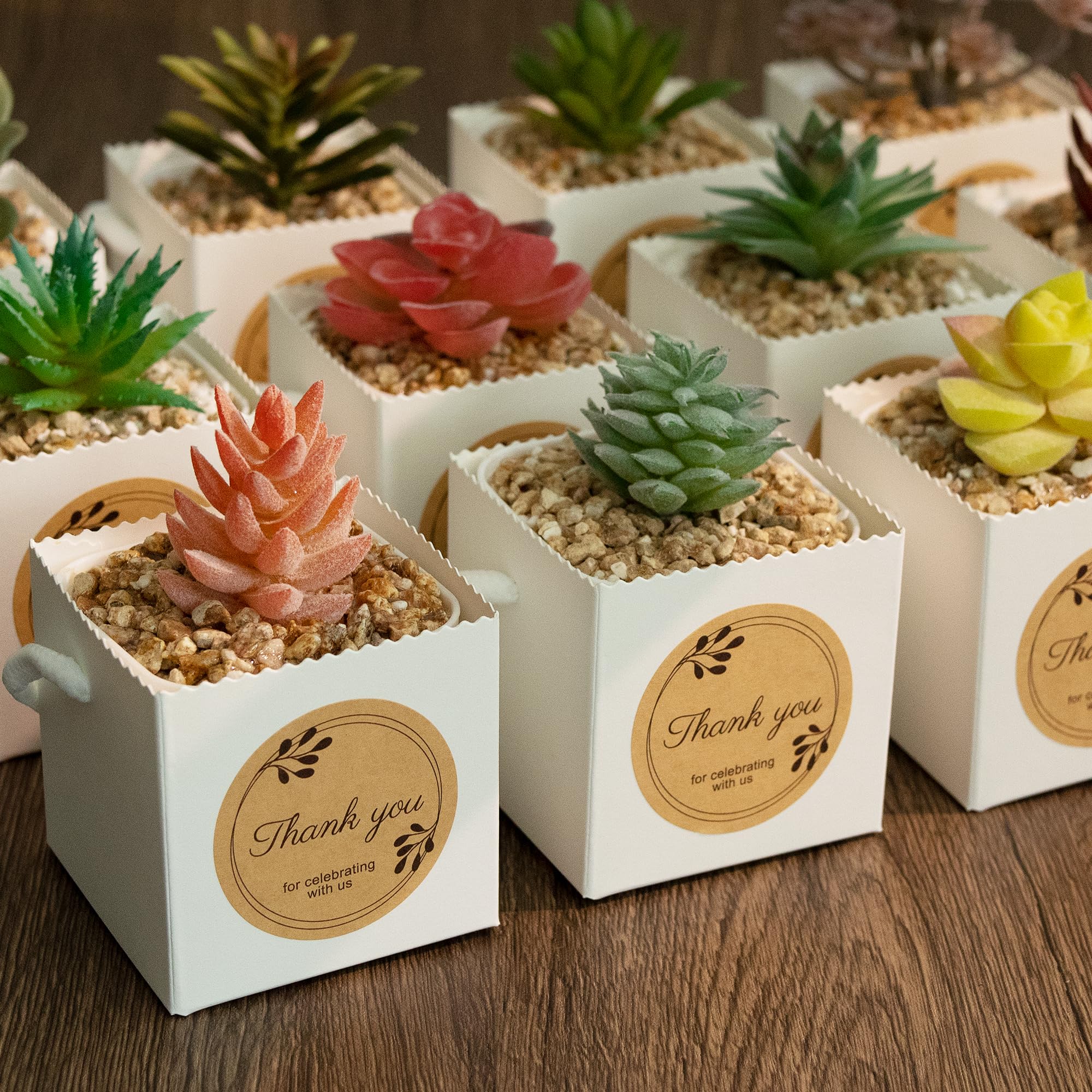 Temlum succulent wrap bag on display ideal for wedding and party decor.