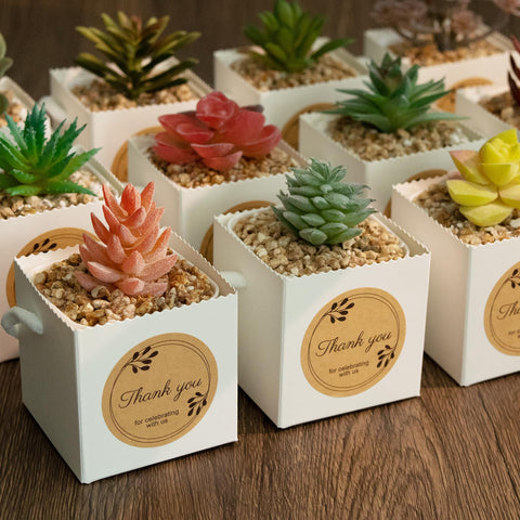 Temlum succulent wrap bag on display ideal for wedding and party decor.