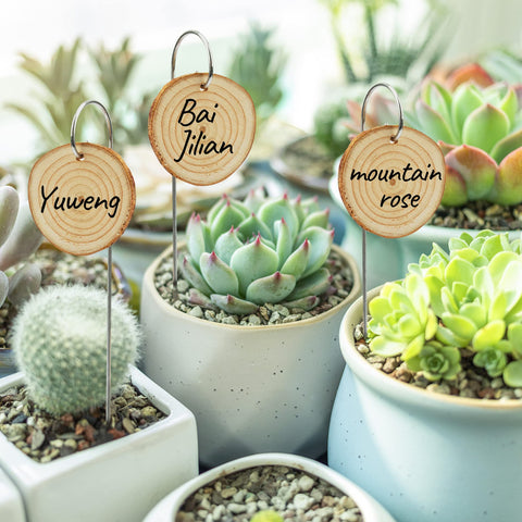 Temlum wooden labels with stainless steel stakes for durable garden signs.