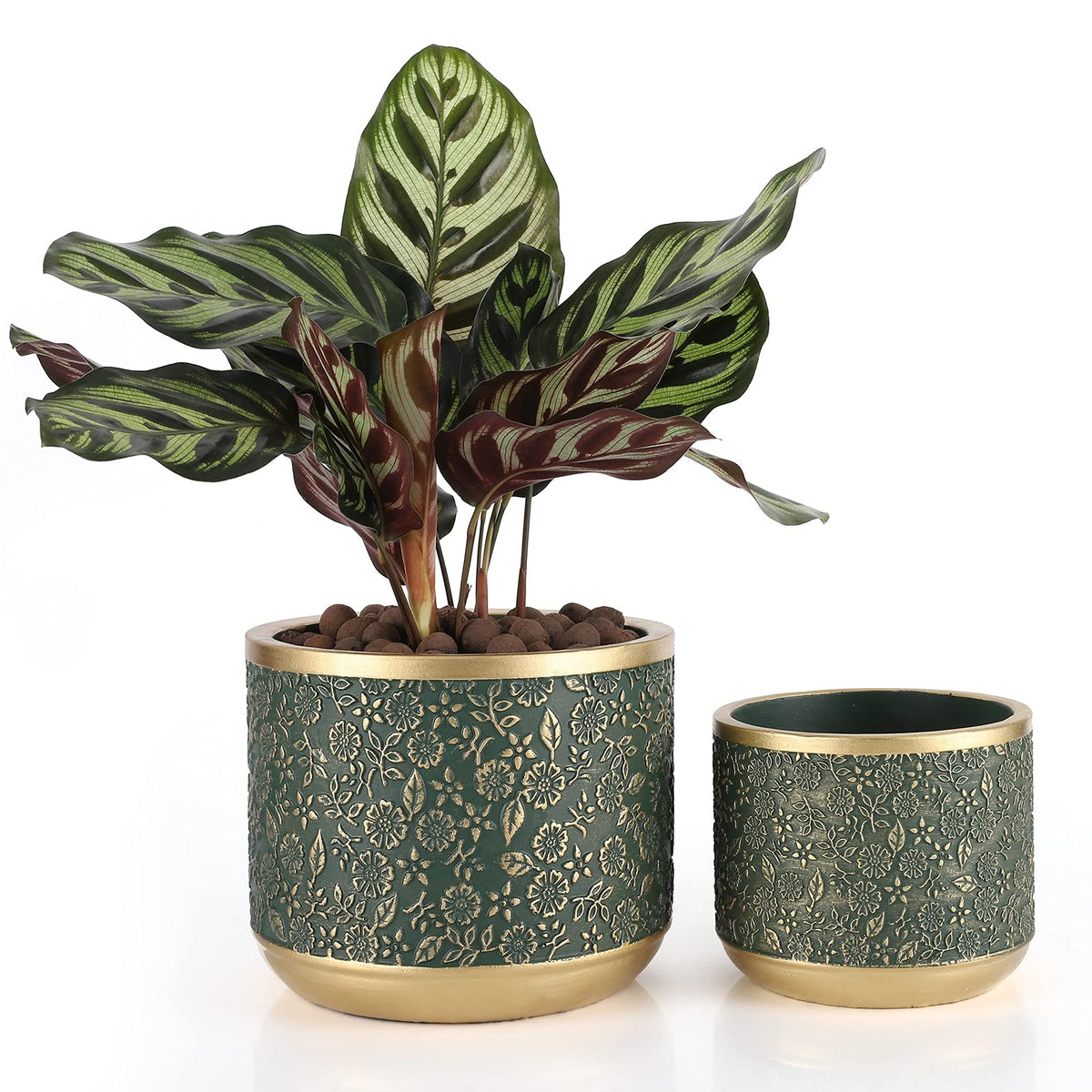 Ten-stone cement planter in green with unglazed texture for natural indoor appeal