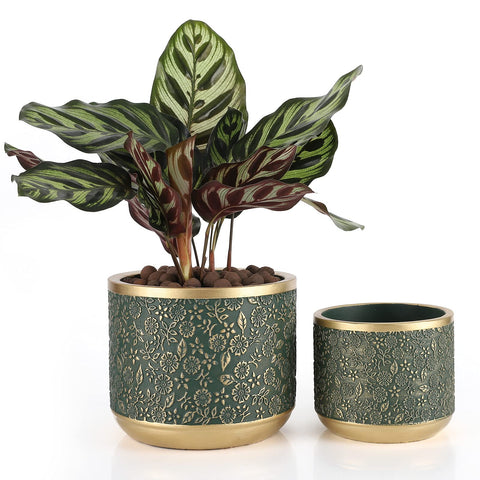 Ten-stone cement planter in green with unglazed texture for natural indoor appeal