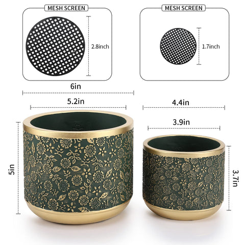 Ten-stone 6-inch planter on a windowsill for ideal light exposure