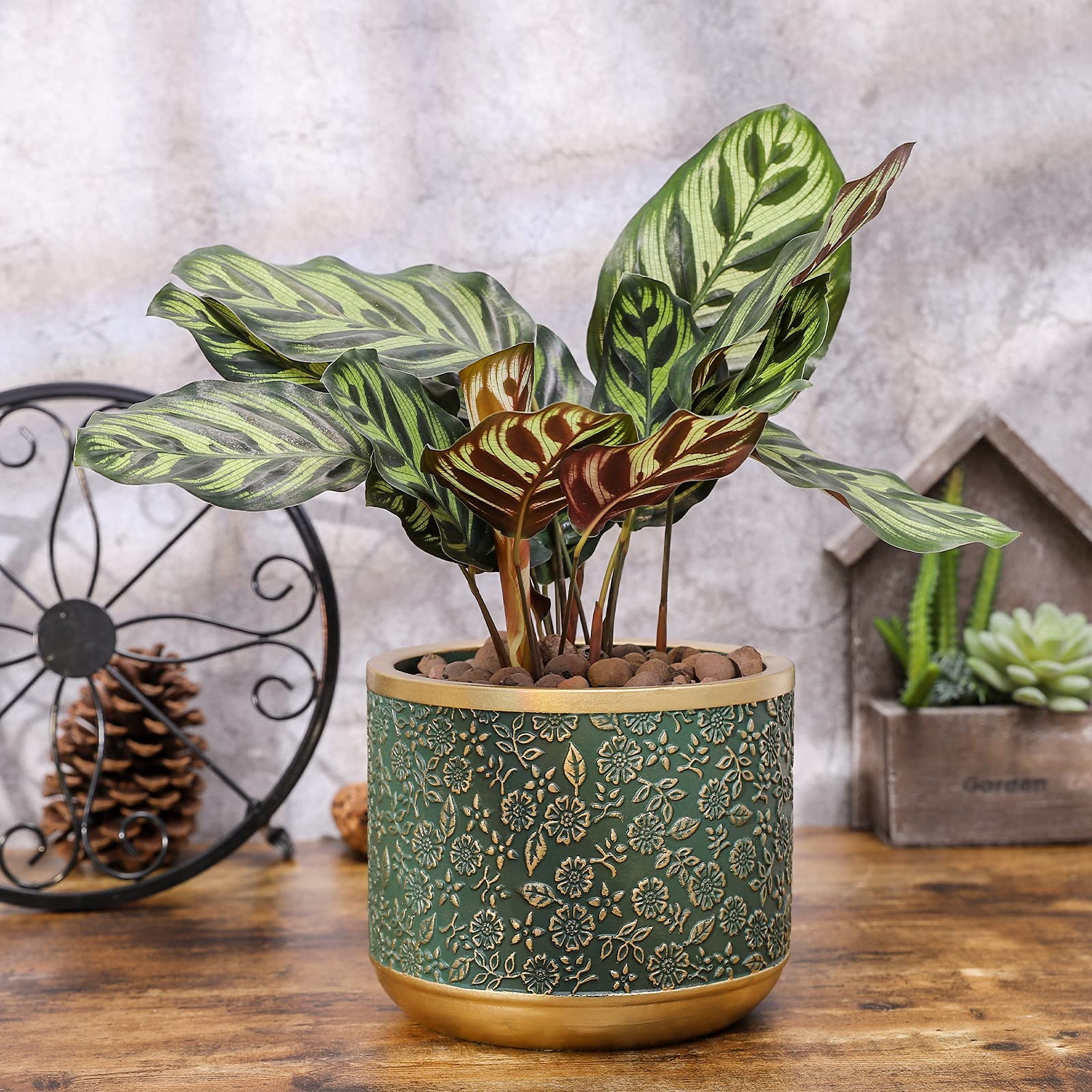 Ten-stone green cement planter, gift-ready packaging for housewarming