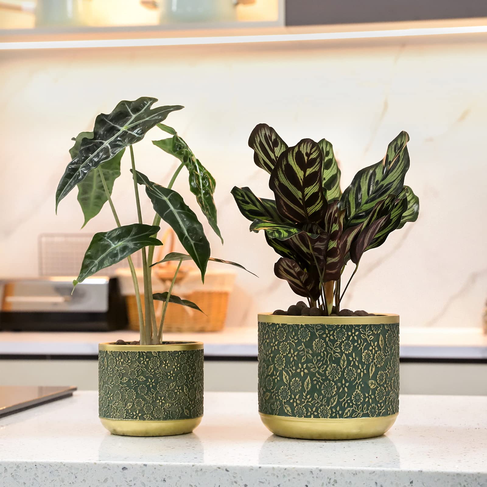 Ten-stone green planter on a kitchen counter for fresh herbs