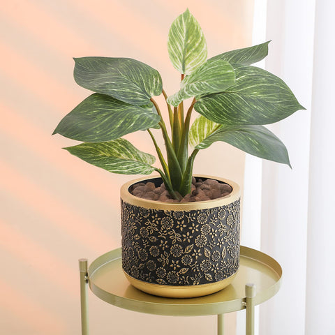 Ten-stone compact cement planters in green for cozy indoor gardens