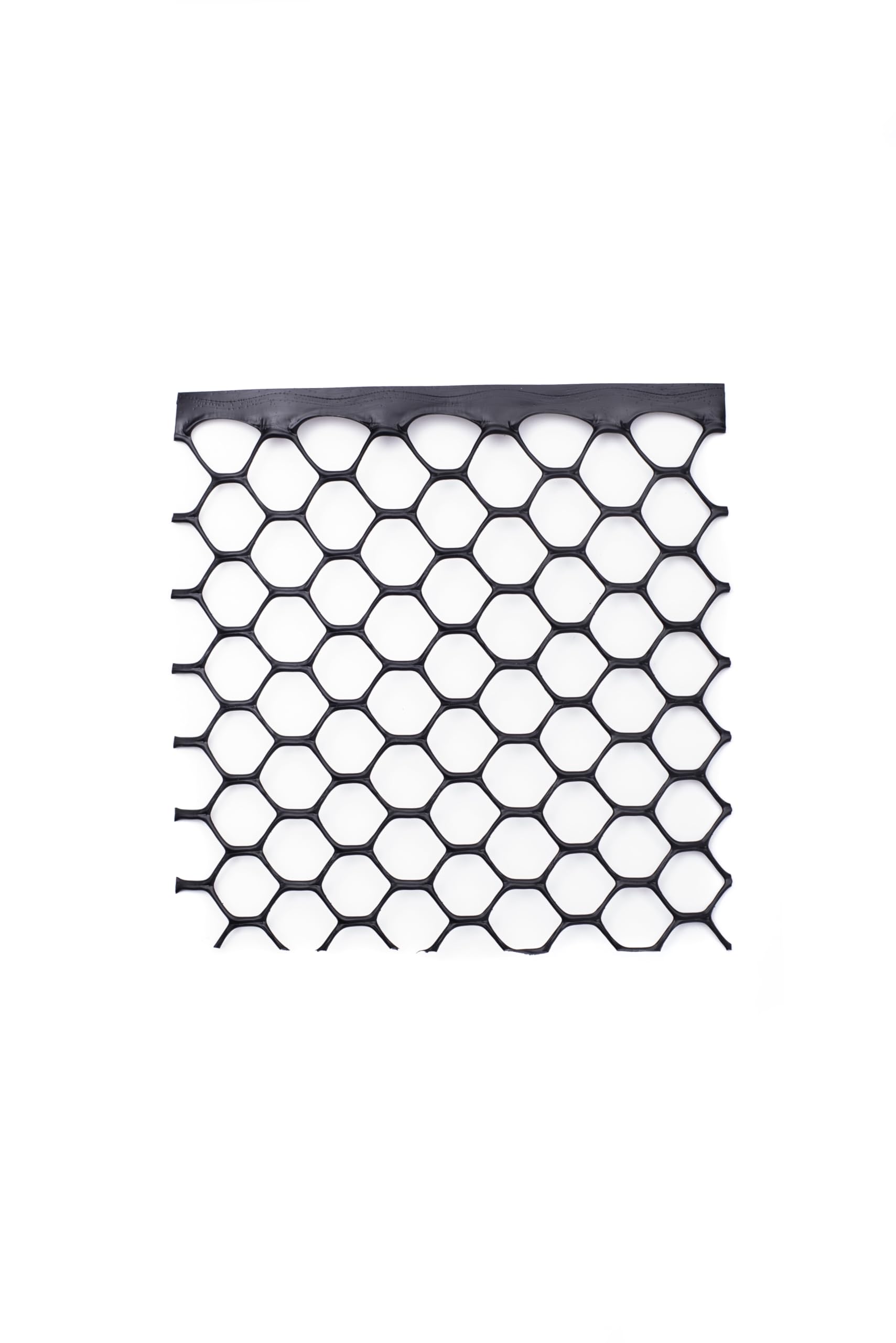 TENAX poultry fence in garden protects plants from small animals effectively.