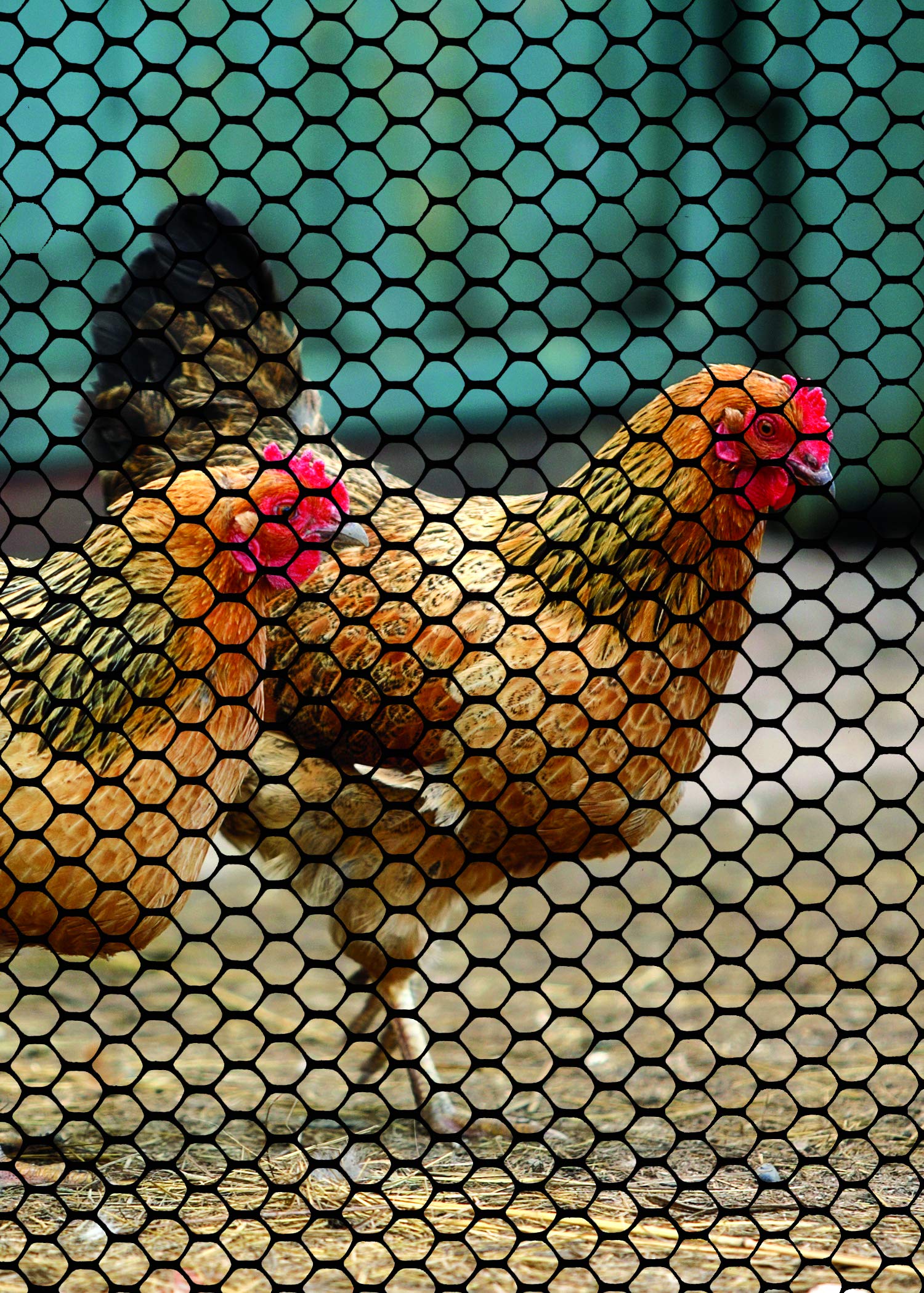 TENAX poultry fence black mesh blends into landscape for low visibility.