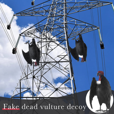 Tenceur vulture black feathers close-up emphasizes lifelike silhouette.