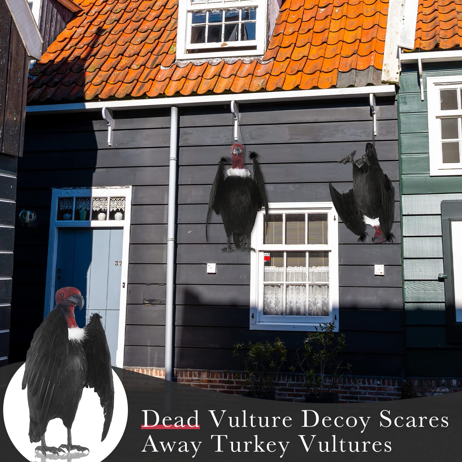 Tenceur vulture large-garden-decoy suitable for yard and roof deterrence.