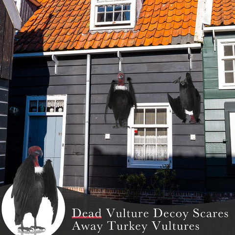 Tenceur vulture large-garden-decoy suitable for yard and roof deterrence.