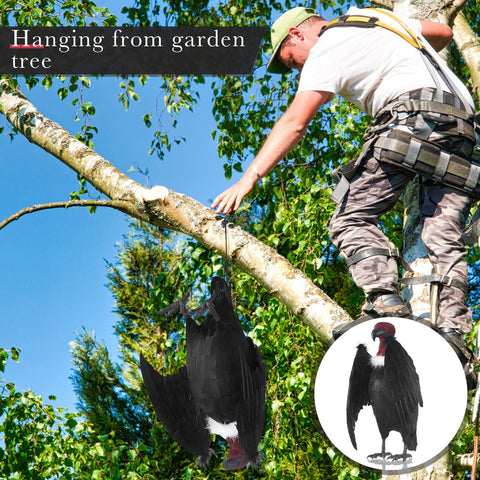 Tenceur vulture outdoor-decor durable plastic body for lasting use.
