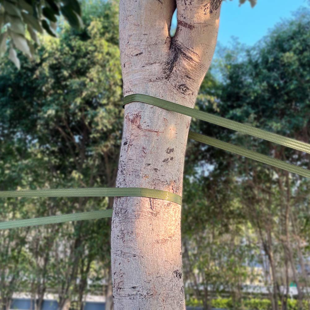 Tenn Well easy-to-use tree staking strap stays secure when tying.