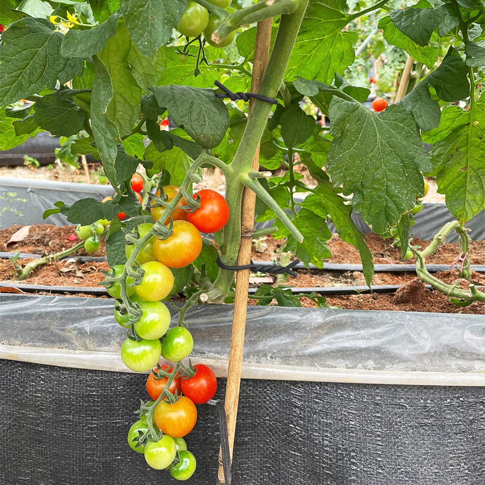 Tenn Well Garden Ties packaging on plastic board for easy unraveling.