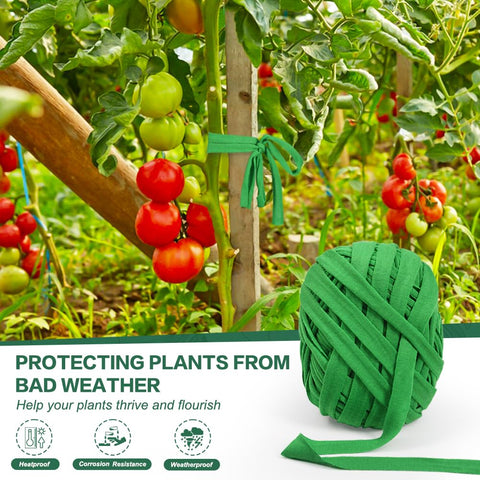Tenn Well stretchy-green-twine adapts as plants grow, avoiding constriction