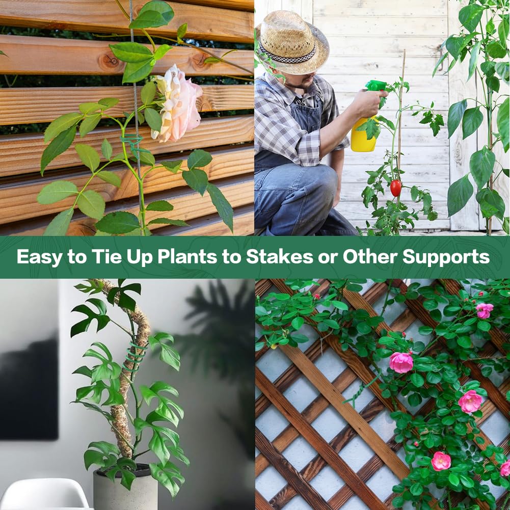 Tomatoes secured with Tenn Well ties along a sturdy trellis.