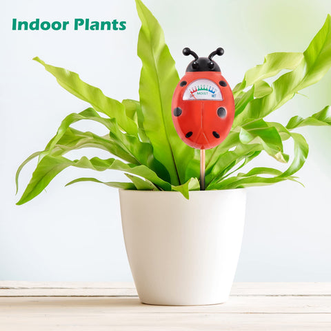 Tennedriv Green 2 Pack helps monitor outdoor plant moisture for healthier soil.