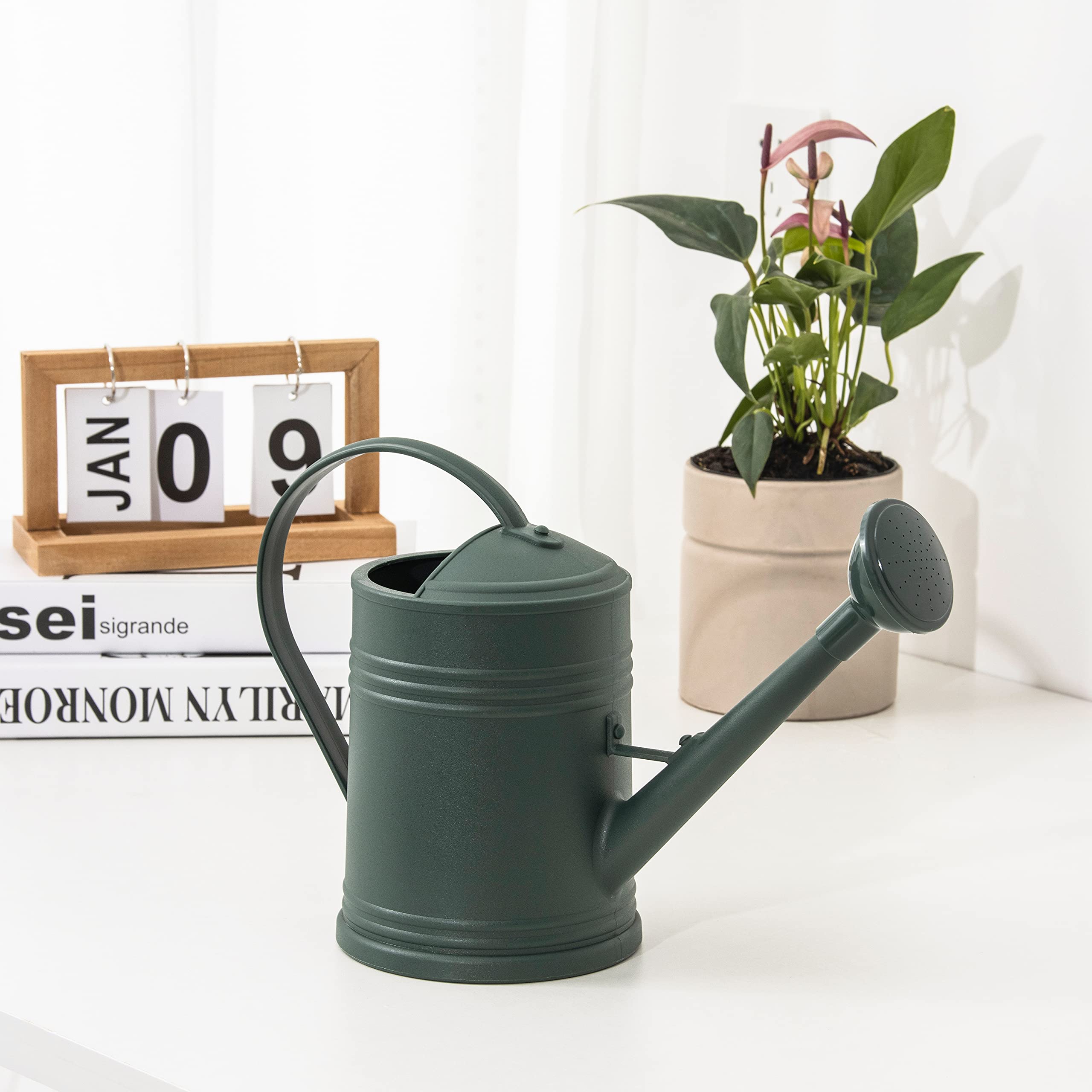 Tennedriv Green 68 oz capacity helps water several plants before refilling