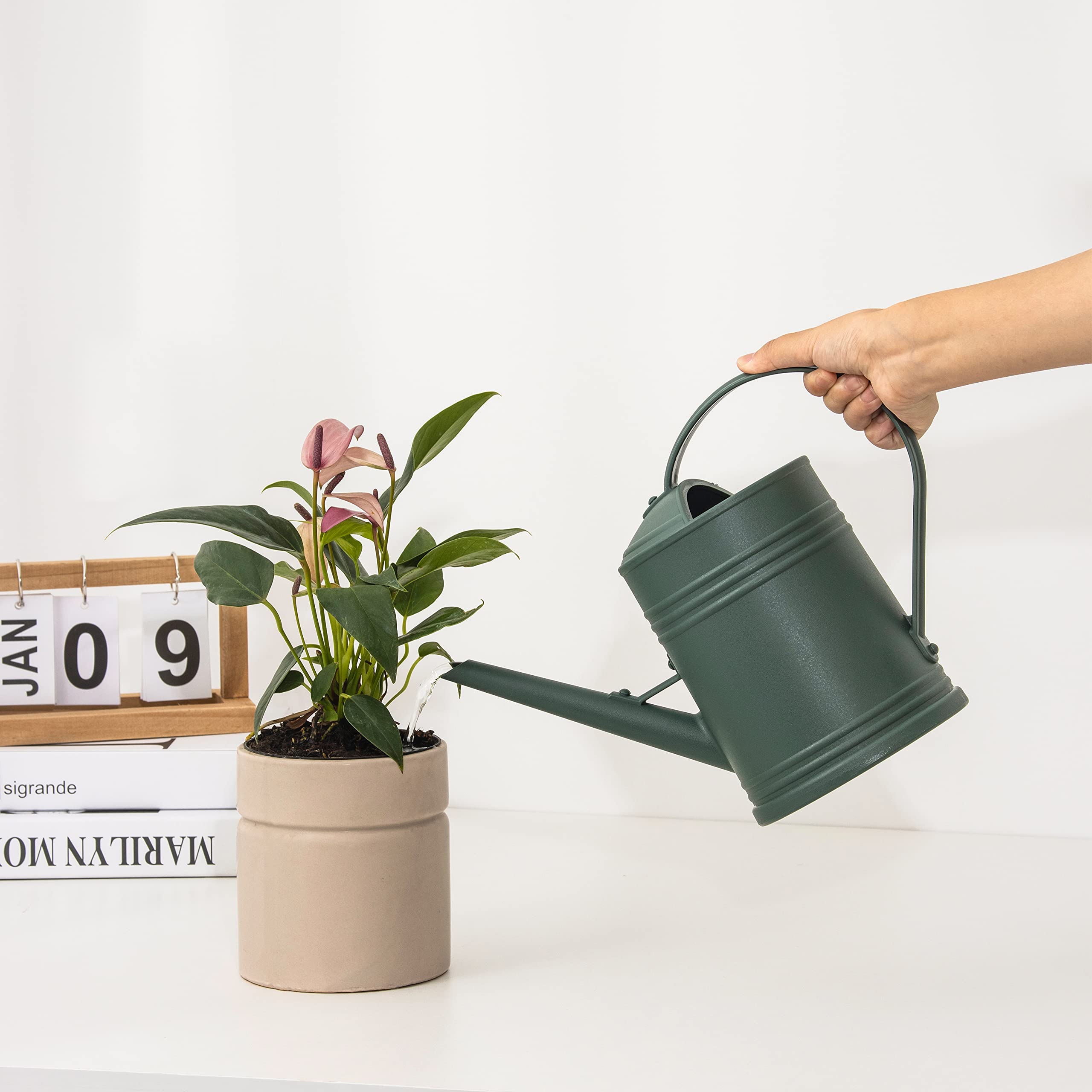 Tennedriv Green watering can with detachable sprinkler head for steady stream or shower