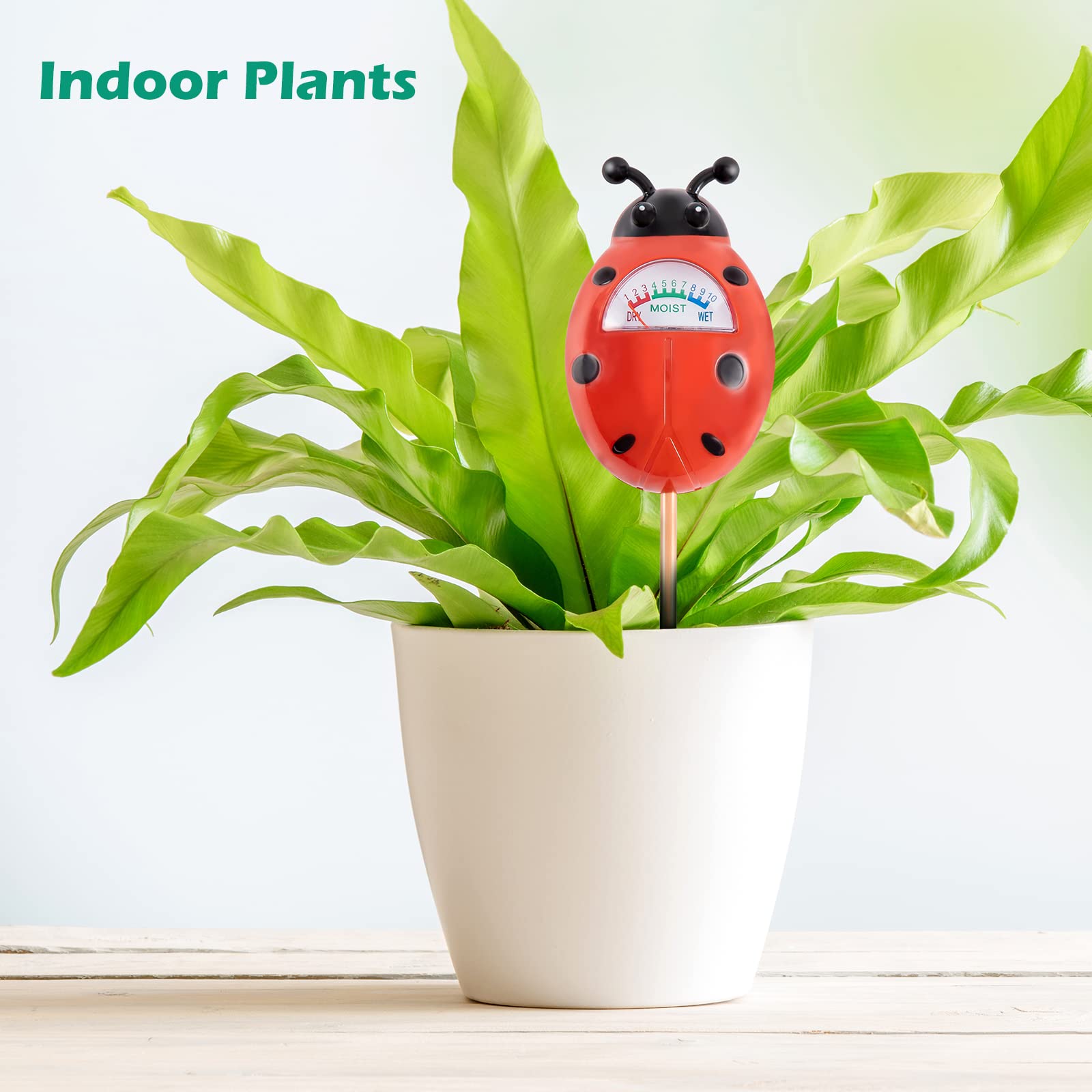 Tennedriv Green meter used with indoor plants for watering guidance.