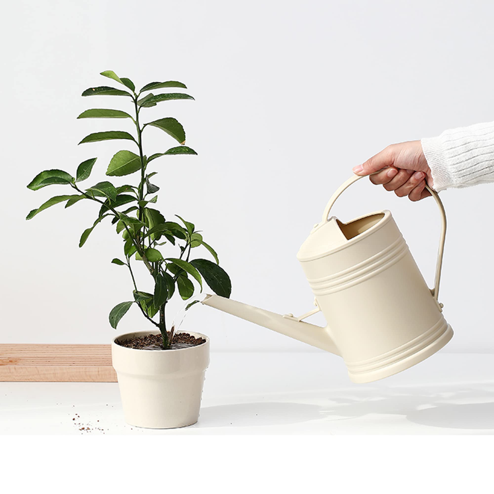 Tennedriv Green watering can with detachable sprinkler for stream or shower.