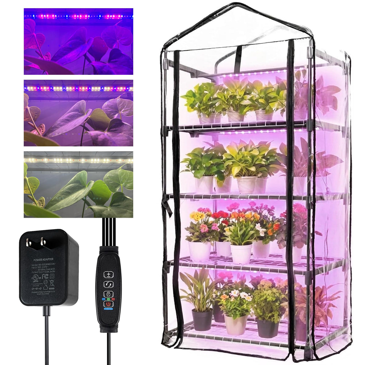 Tentopmic indoor greenhouse with grow lights supports seed starting and healthy growth